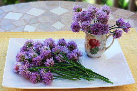 Chives Blossom