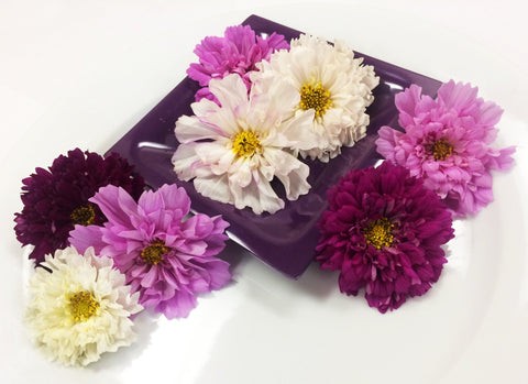 Carnation – Gourmet Sweet Botanicals