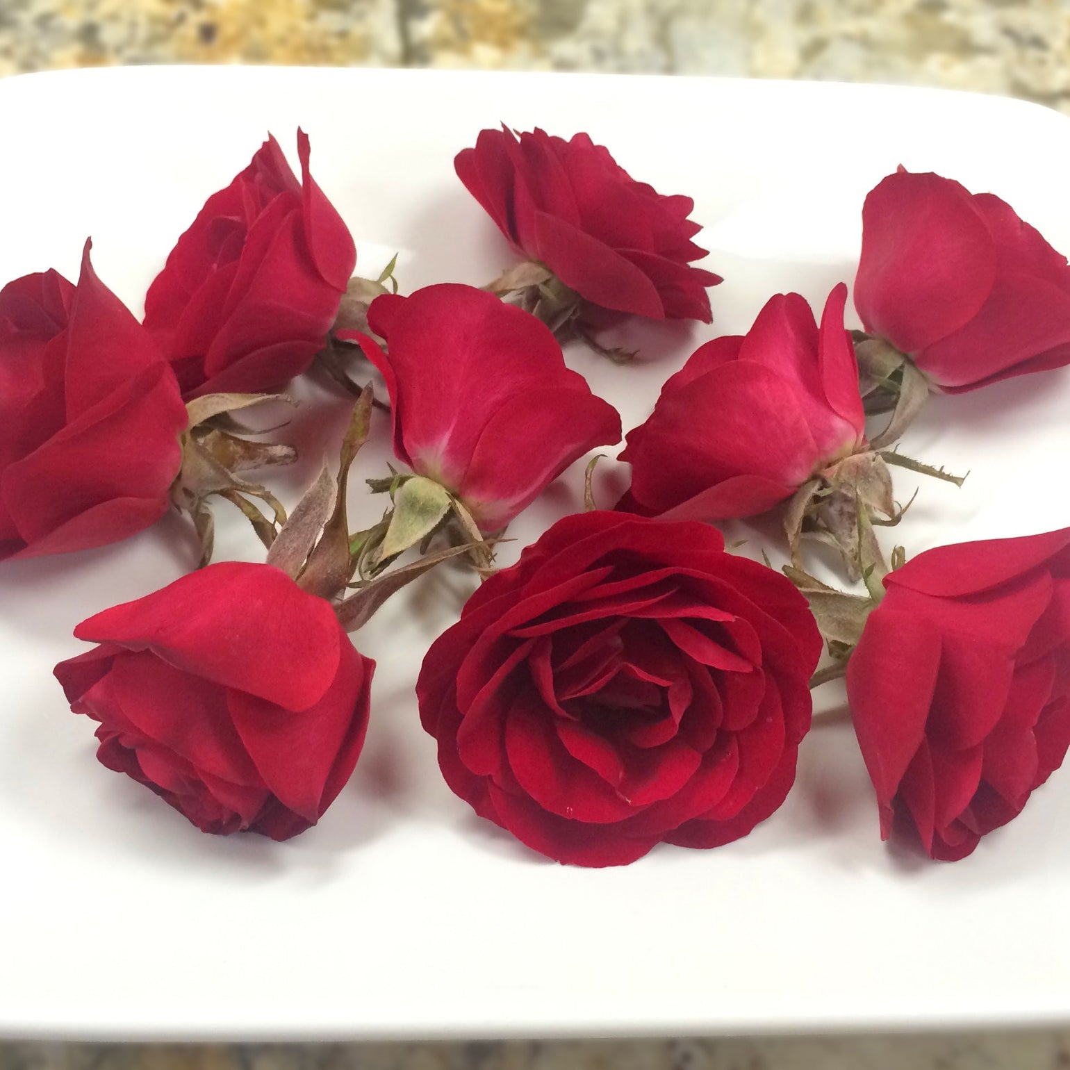 Edible Flowers – Page 3 – Gourmet Sweet Botanicals