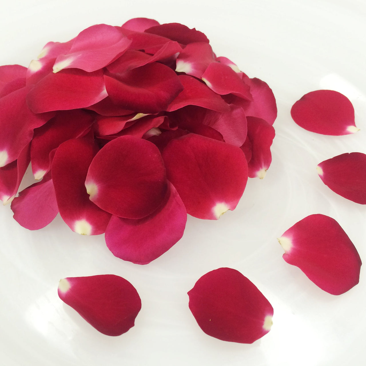 Edible Red Roses Edible Flowers – Page 3 – Gourmet Sweet Botanicals