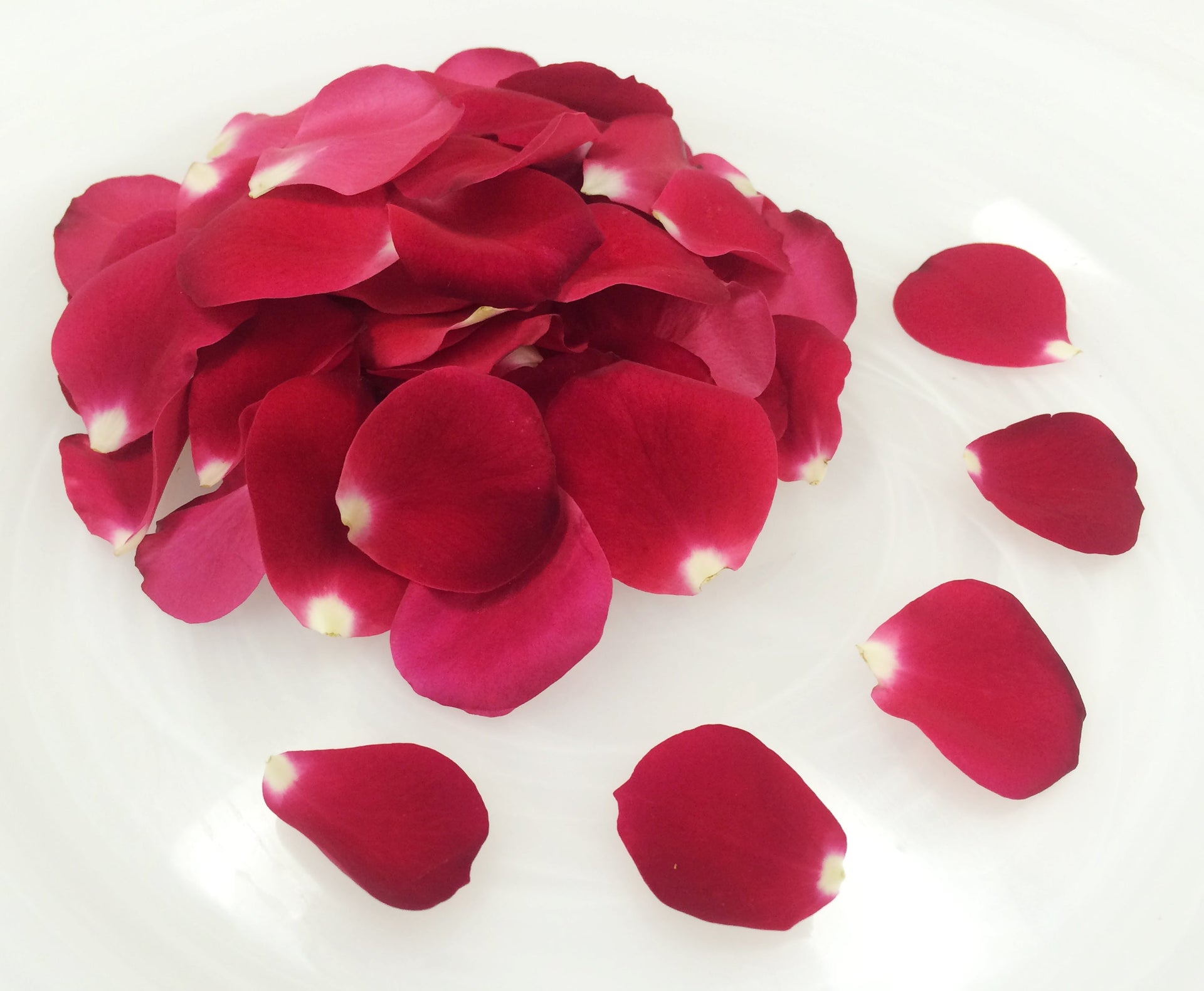 Fresh Premium Rose Petal Red Edible Flowers from Gourmet Sweet Botanicals
