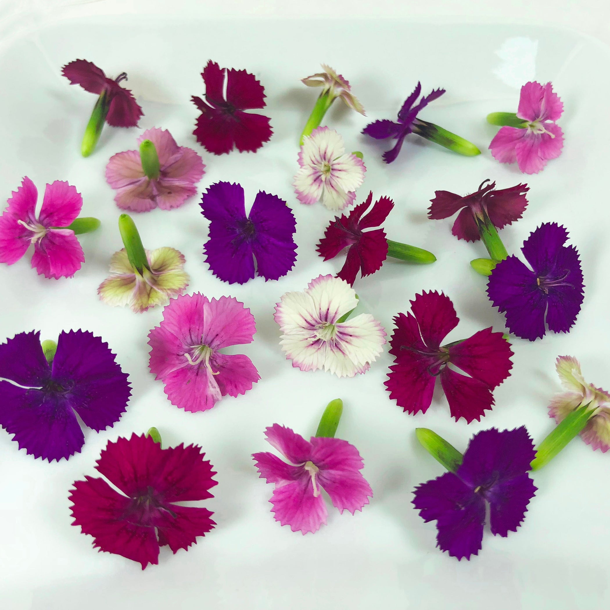 Micro Flowers™ Gourmet Sweet Botanicals