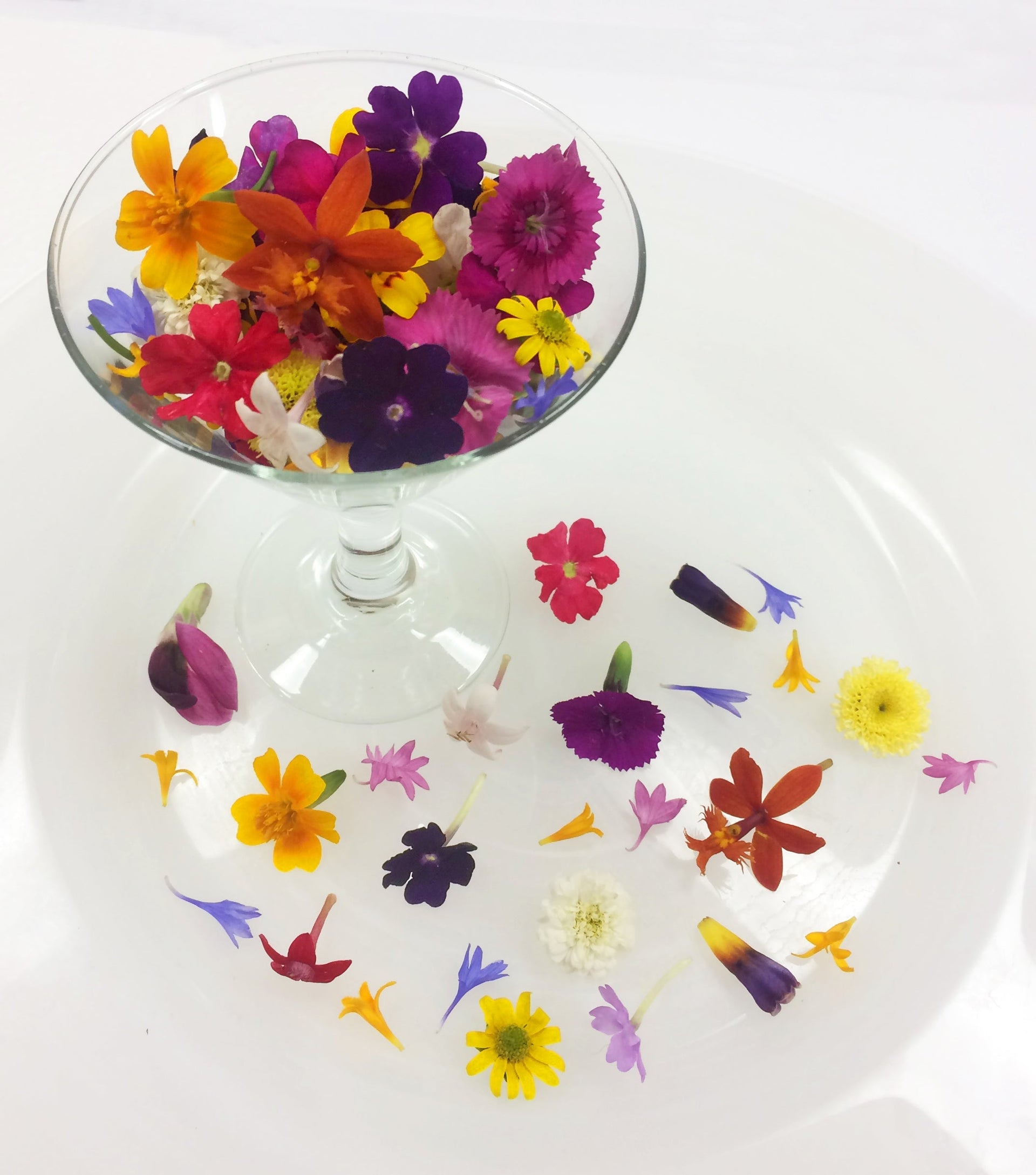 Edible Micro Flowers: A Tiny Treat With Big Flavor