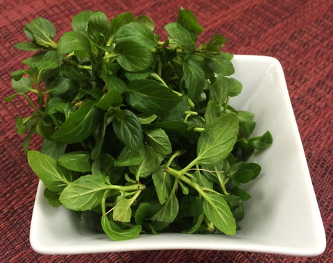 Micro Mint – Gourmet Sweet Botanicals