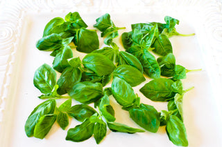 Petite® Basil Italian