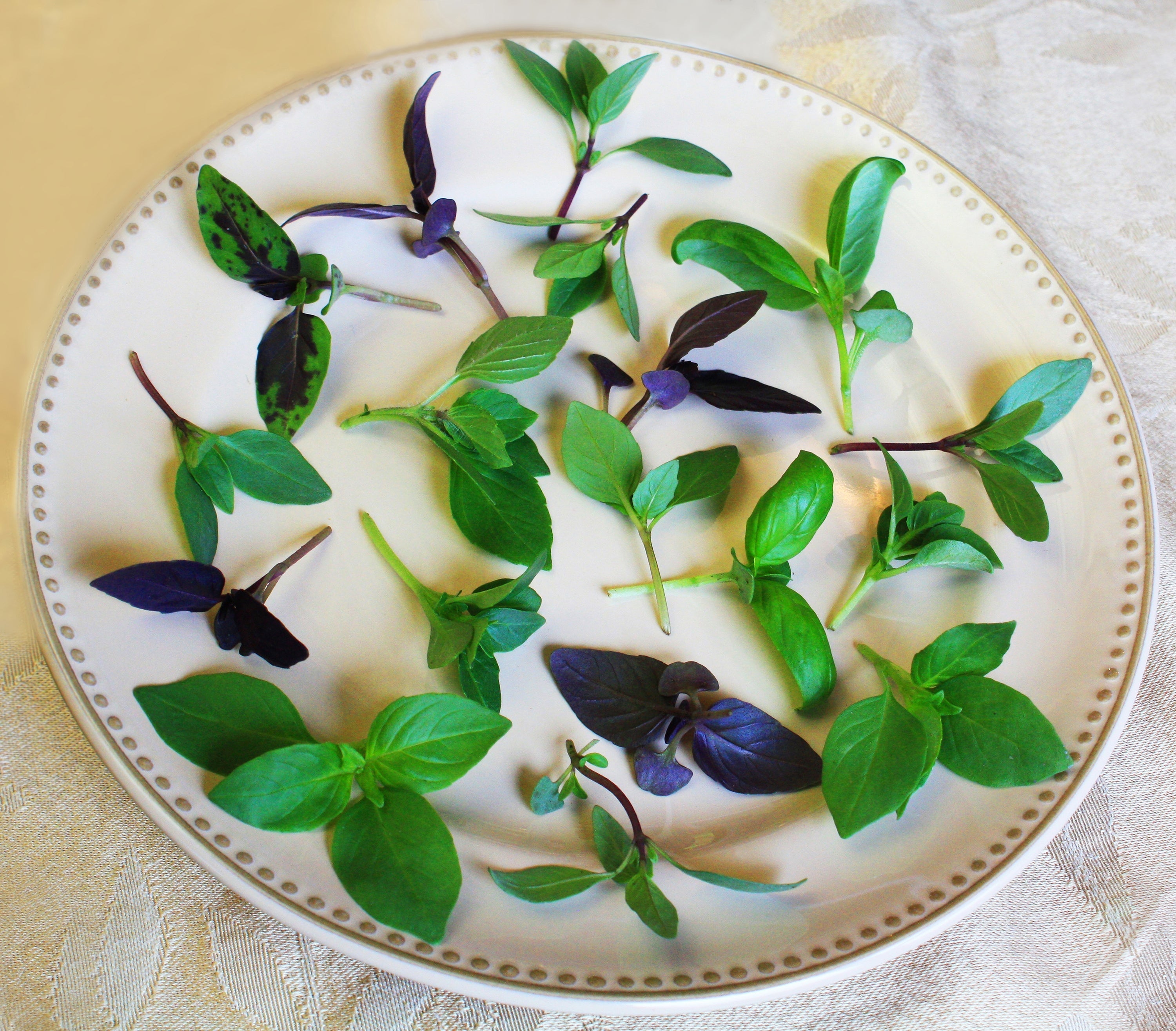 Petite® Basil Mix – Gourmet Sweet Botanicals